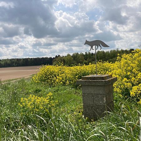 "Aux Chants Des Oiseaux" Domaine De La Renardiere Les Grandes-Loges Exteriör bild