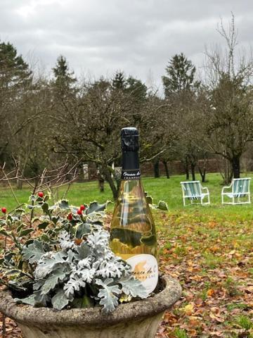 "Aux Chants Des Oiseaux" Domaine De La Renardiere Les Grandes-Loges Exteriör bild