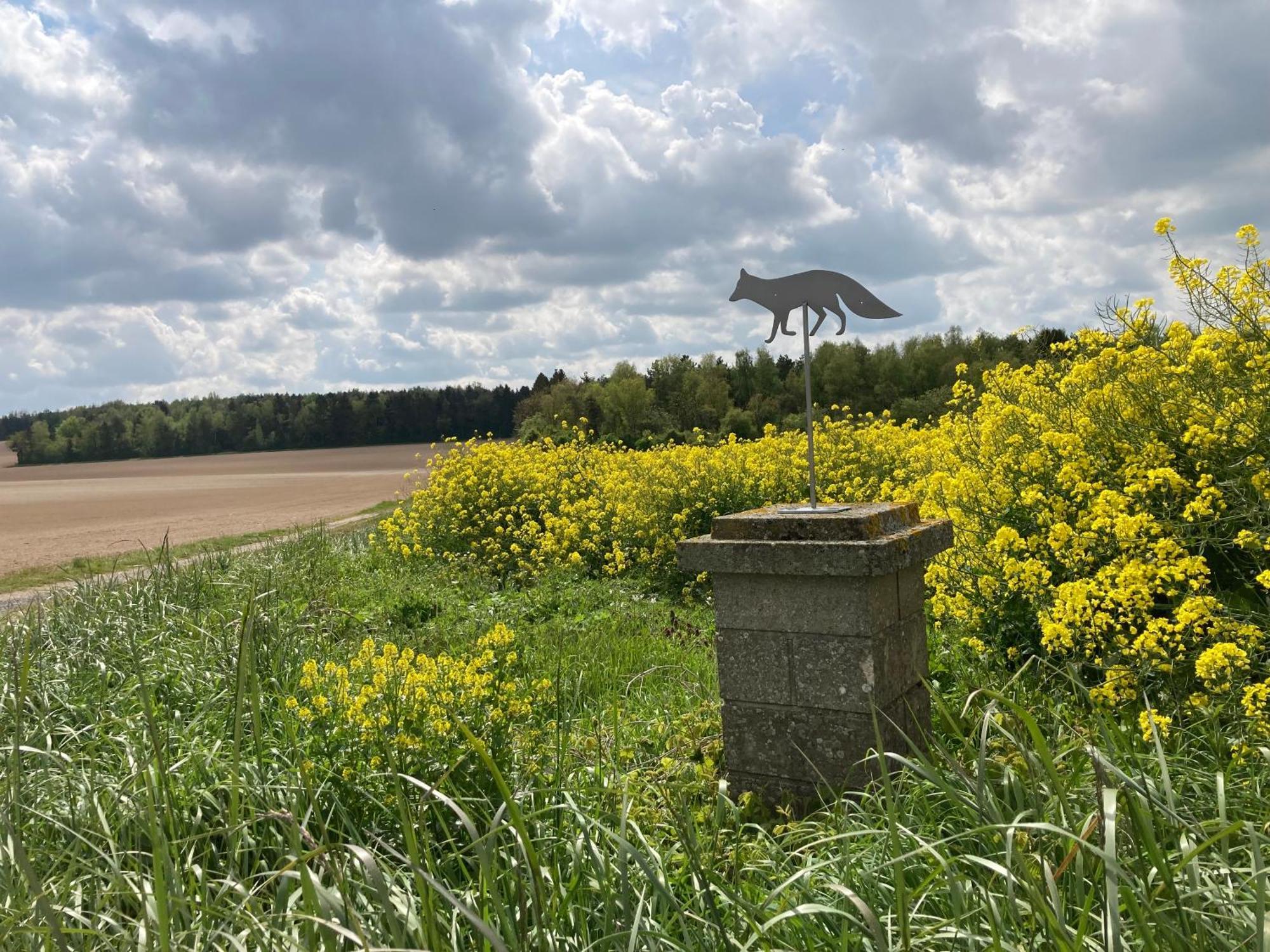 "Aux Chants Des Oiseaux" Domaine De La Renardiere Les Grandes-Loges Exteriör bild