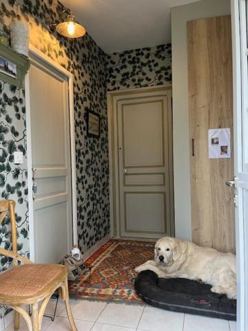 "Aux Chants Des Oiseaux" Domaine De La Renardiere Les Grandes-Loges Exteriör bild